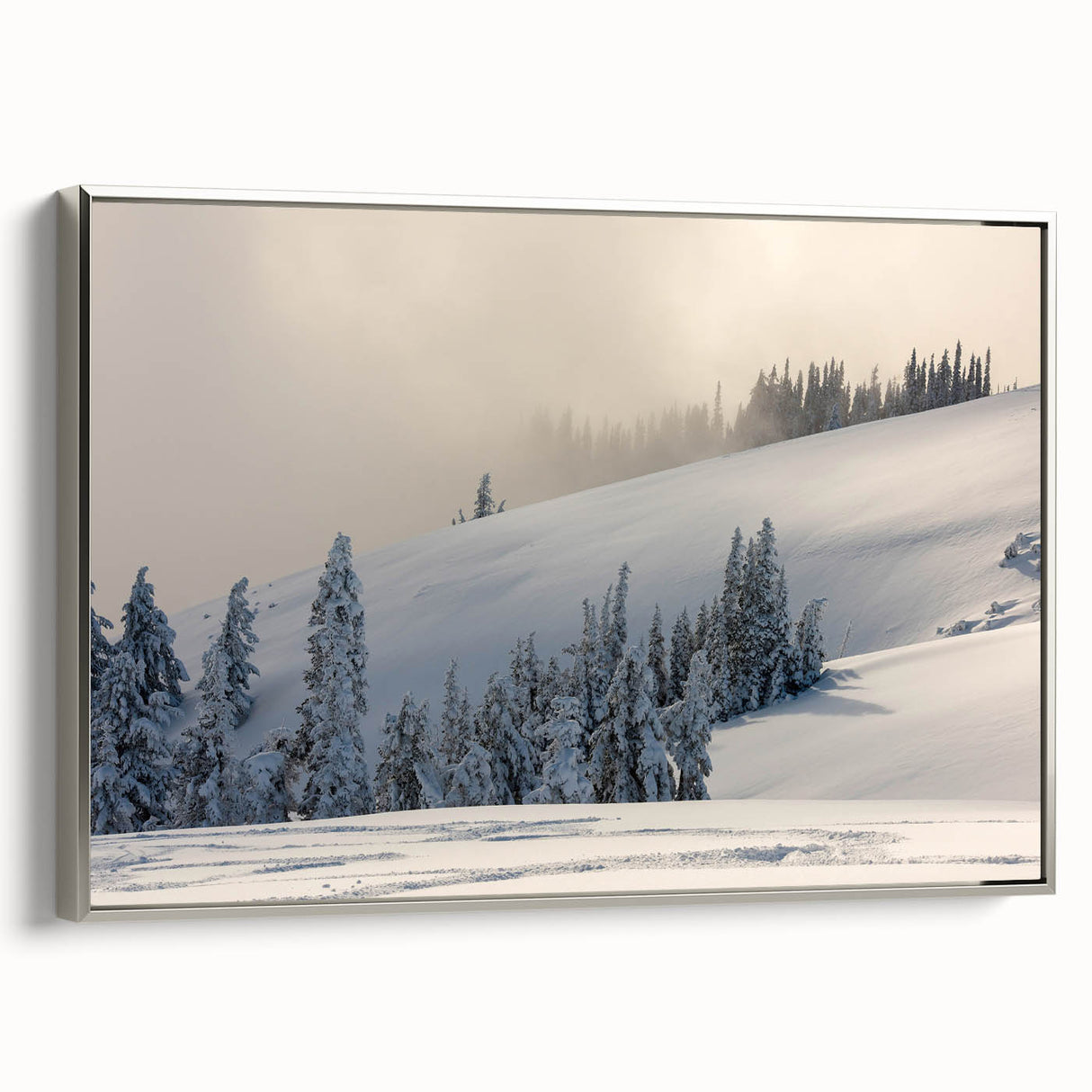 Framed canvas featuring a vintage-style landscape painting of Olympic National Park with colorful art on a black background.