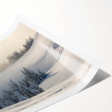 Extra large rolled print of line art flowers in monochrome, ideal for large living room wall art.