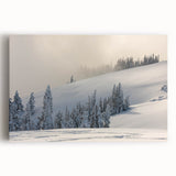 Black and white photograph of Olympic National Park on stretched canvas, ideal for kitchen wall art.