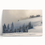 Black and white photograph of Olympic National Park on stretched canvas, suitable as large kitchen wall art or bedroom decor.