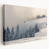 Large art print of Olympic National Park on stretched canvas with vibrant green and blue tones, ideal for kitchen wall art.