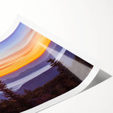 Extra large wall art featuring line art flowers in black and white, rolled print format, ideal for large living room decor.