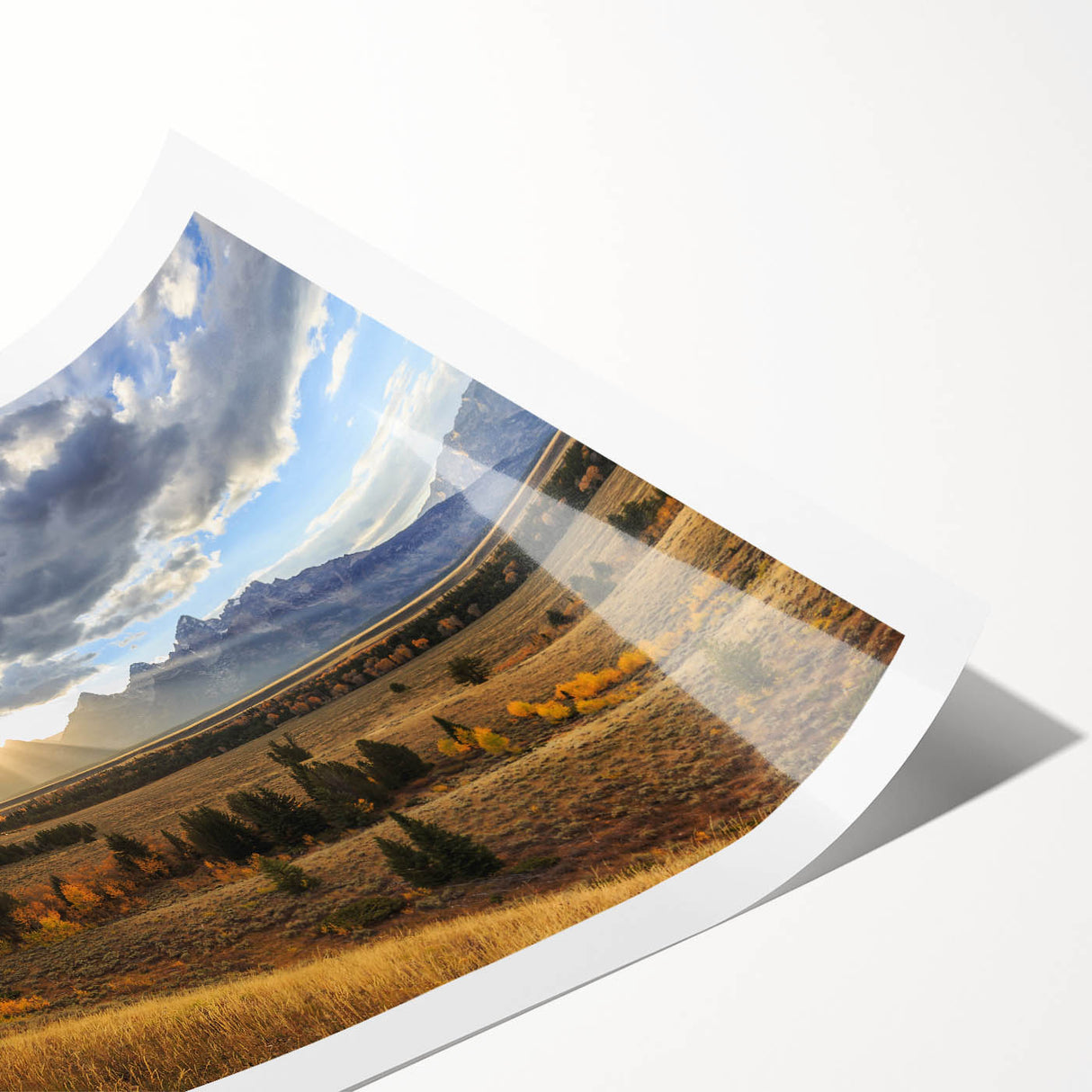 Extra large wall art of line art flowers over a scenic Wyoming Grand Tetons backdrop, printed on rolled canvas.