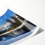 Extra large rolled print of line art flowers in black and white, ideal for large living room wall art.