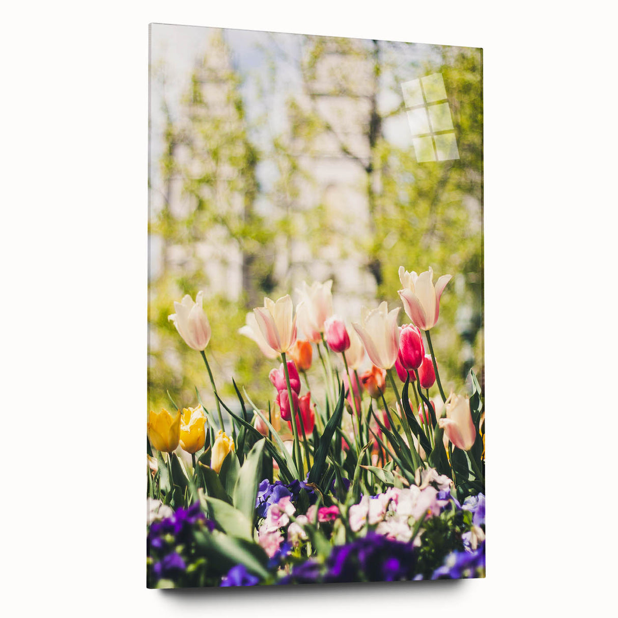 Large abstract wall art on acrylic glass depicting spring themes in soft green and pink tones.