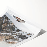 Extra large wall art featuring line art flowers in monochrome, ideal for large living room decor, on rolled print.