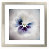 Framed Dining Room Prints - White and Violet Floral Artwork