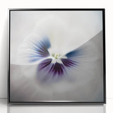 Framed Dining Room Prints - White and Violet Floral Artwork