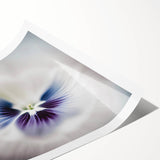 Framed Dining Room Prints - White and Violet Floral Artwork