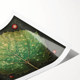 Vibrant rolled print of floral and botanical wall art, showcasing intricate leaf and flower designs in earthy tones, perfect for home decor.