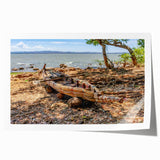 Extra large rolled print of Ethiopian scenery with vibrant floral elements, ideal for art wall dining room.