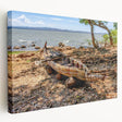 Large canvas print of an Ethiopian landscape in earth tones, suitable for kitchen wall art.
