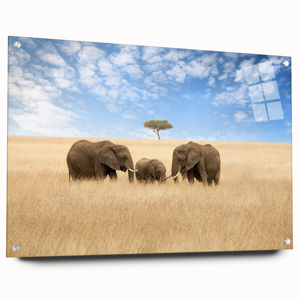 Acrylic print of an abstract Kenyan landscape in earthy tones, ideal for dining room art.
