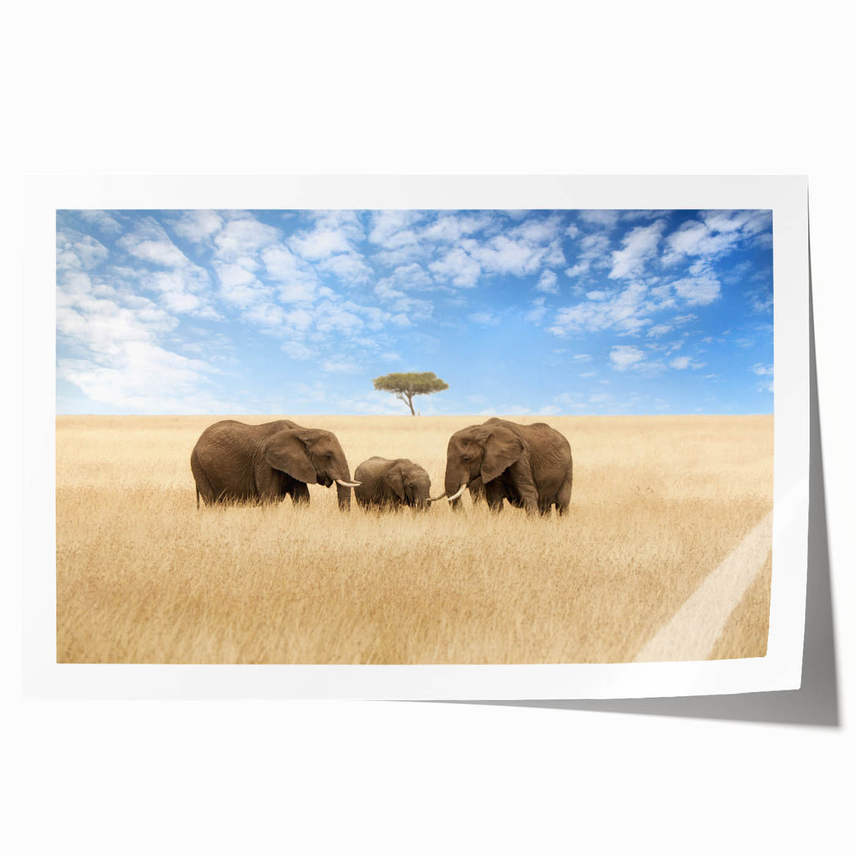 Rolled print of a Kenyan landscape featuring acacia trees and sunset hues, ideal for art wall dining room decor.