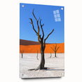 Acrylic print of a Namibian landscape featuring expansive deserts and blue skies, suitable for bedroom or dining room decor.