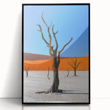 Large abstract wall art depicting the Namibian landscape in muted earth tones on framed acrylic.