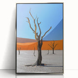 Mid-century modernist art depicting the Namibian desert in warm earth tones on a silver-framed acrylic print.