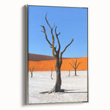 Vintage poster art of a Namibian landscape on a framed canvas, featuring a colorful palette, ideal for living room decor.