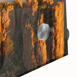 Large abstract wall art featuring a South African scenery in muted earth tones on acrylic glass.