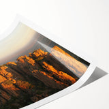 Extra large wall art featuring a line art design of oversized flowers in black on a white background.