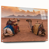 Acrylic print of a Tunisian landscape in muted earth tones, ideal for dining room decor.