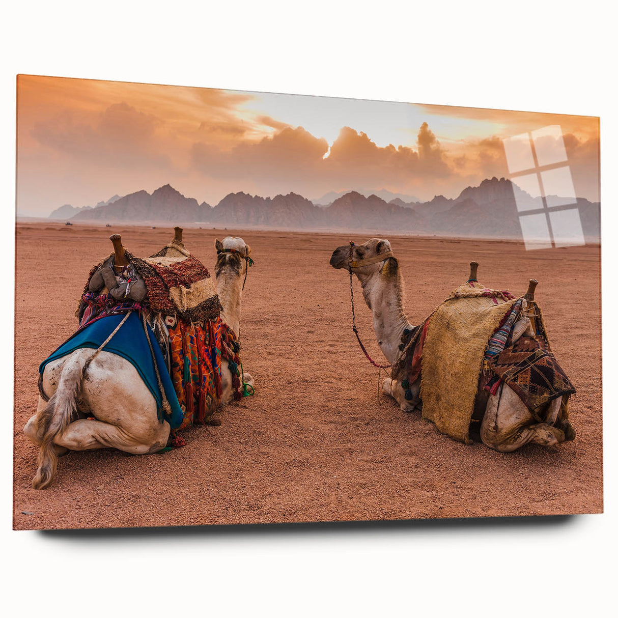 Large abstract wall art depicting a Tunisian landscape in muted earth tones, printed on acrylic glass.
