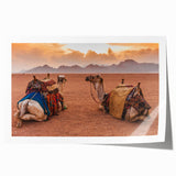 Rolled print of a Tunisian landscape featuring muted earth tones, ideal for art wall dining room.