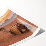 Extra large wall art featuring line art flowers in soft pastel shades on a rolled print, perfect for large living room decor.