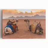 Large black and white stretched canvas of a Tunisian landscape, ideal for kitchen wall art.