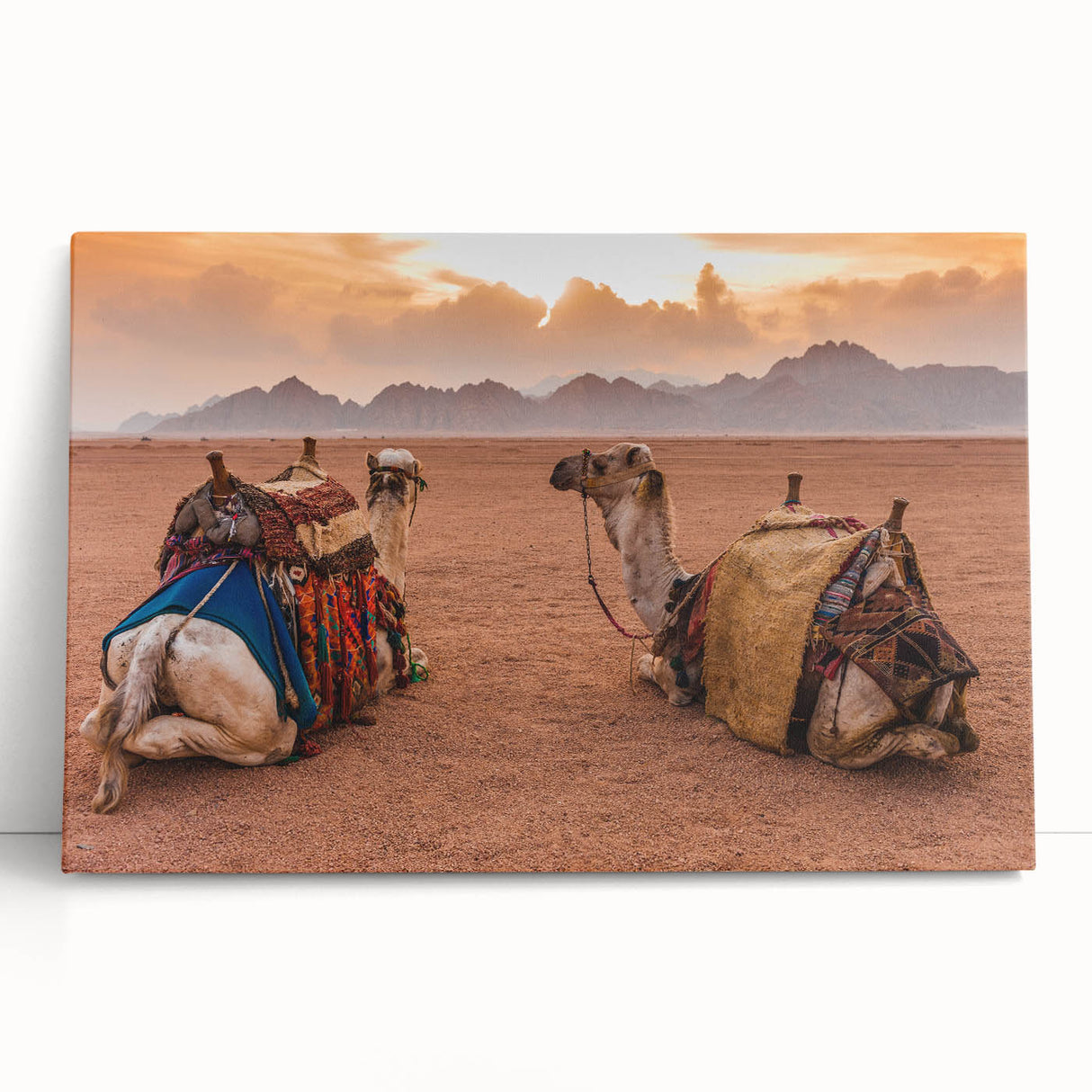 Black and white stretched canvas featuring a Tunisian landscape, suitable as large kitchen wall art or bedroom decor.