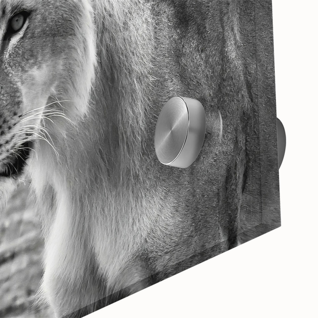 Large abstract wall art featuring a Zambia scenery in muted earth tones on acrylic glass, ideal for dining room ambiance.