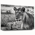 Acrylic print of a vibrant African landscape in orange and red tones, ideal for dining room decor.