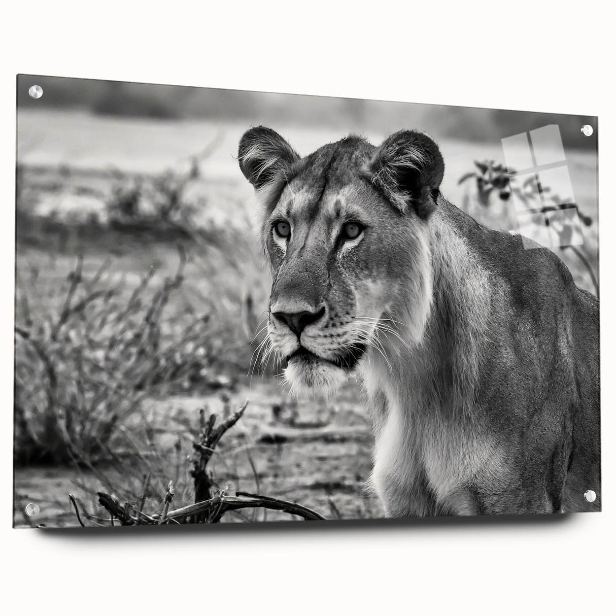 Acrylic print of a vibrant African landscape in orange and red tones, ideal for dining room decor.