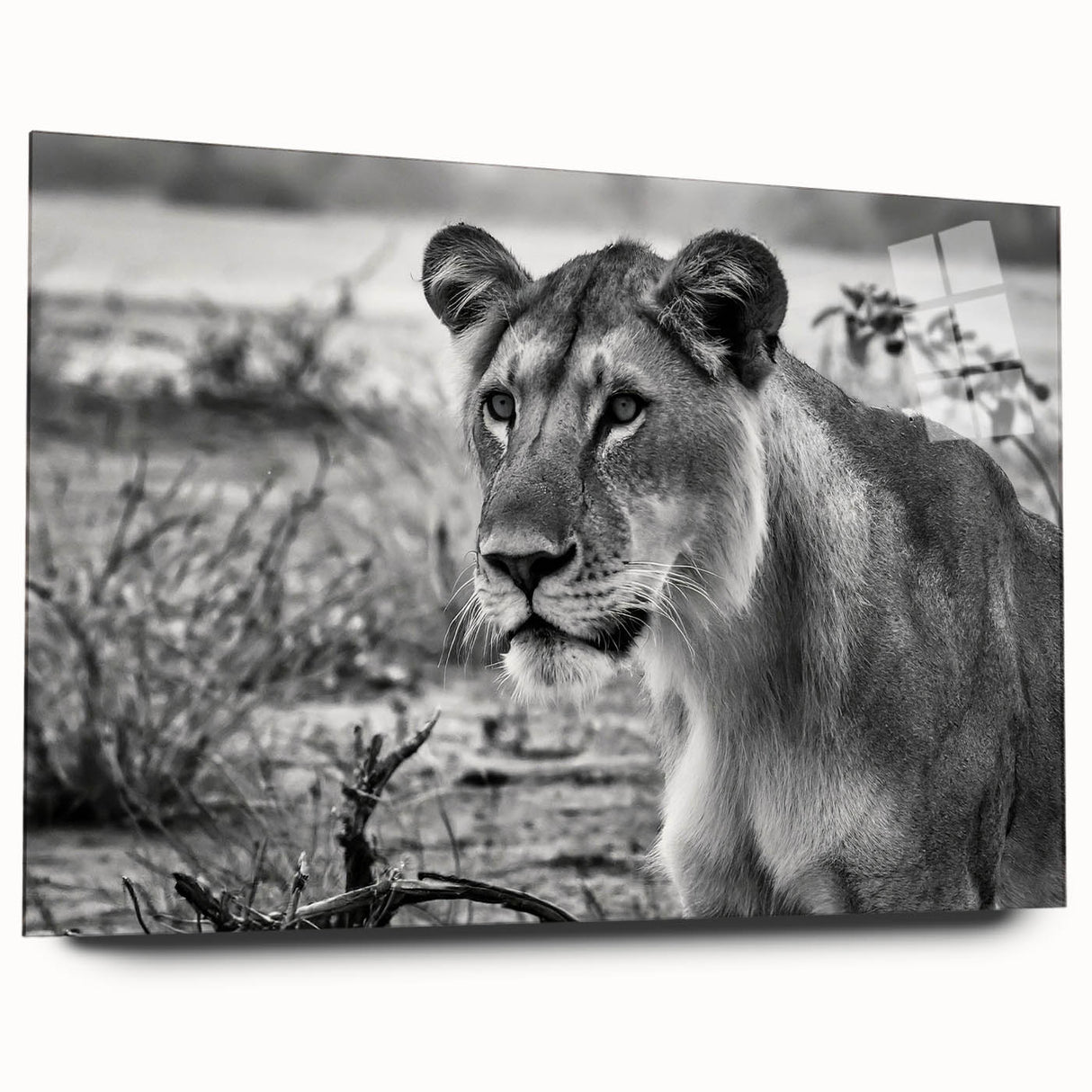 Acrylic print of a large abstract depiction of the African landscape in earthy tones, ideal for bedroom or dining room art.