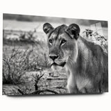 Acrylic print of a large abstract depiction of the African landscape in earthy tones, ideal for bedroom or dining room art.