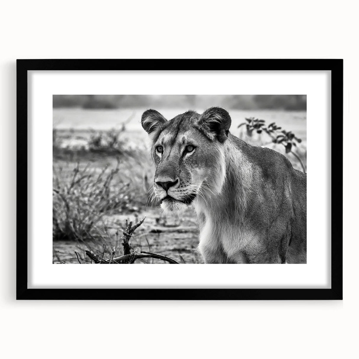 Extra large colorful art print depicting an abstract African scenery in vibrant hues on textured canvas, framed in black.