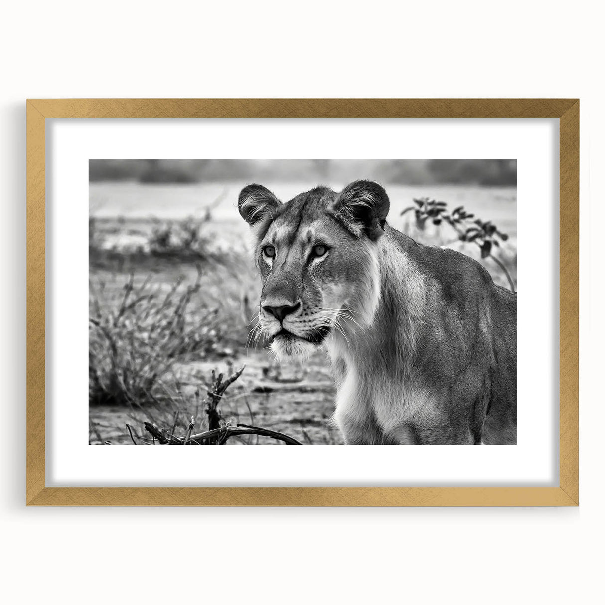 Extra large abstract art print depicting African scenery in textured gold tones, framed with mat.