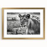 Extra large abstract art print depicting African scenery in textured gold tones, framed with mat.