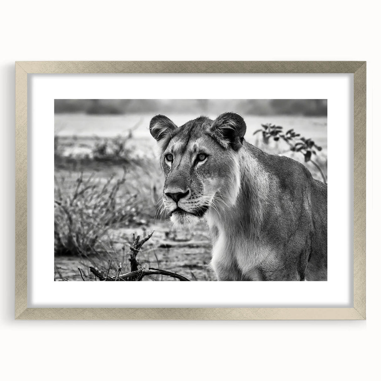 Textured abstract art print depicting an African scenery in muted earth tones on a framed canvas, suitable for bedroom art.