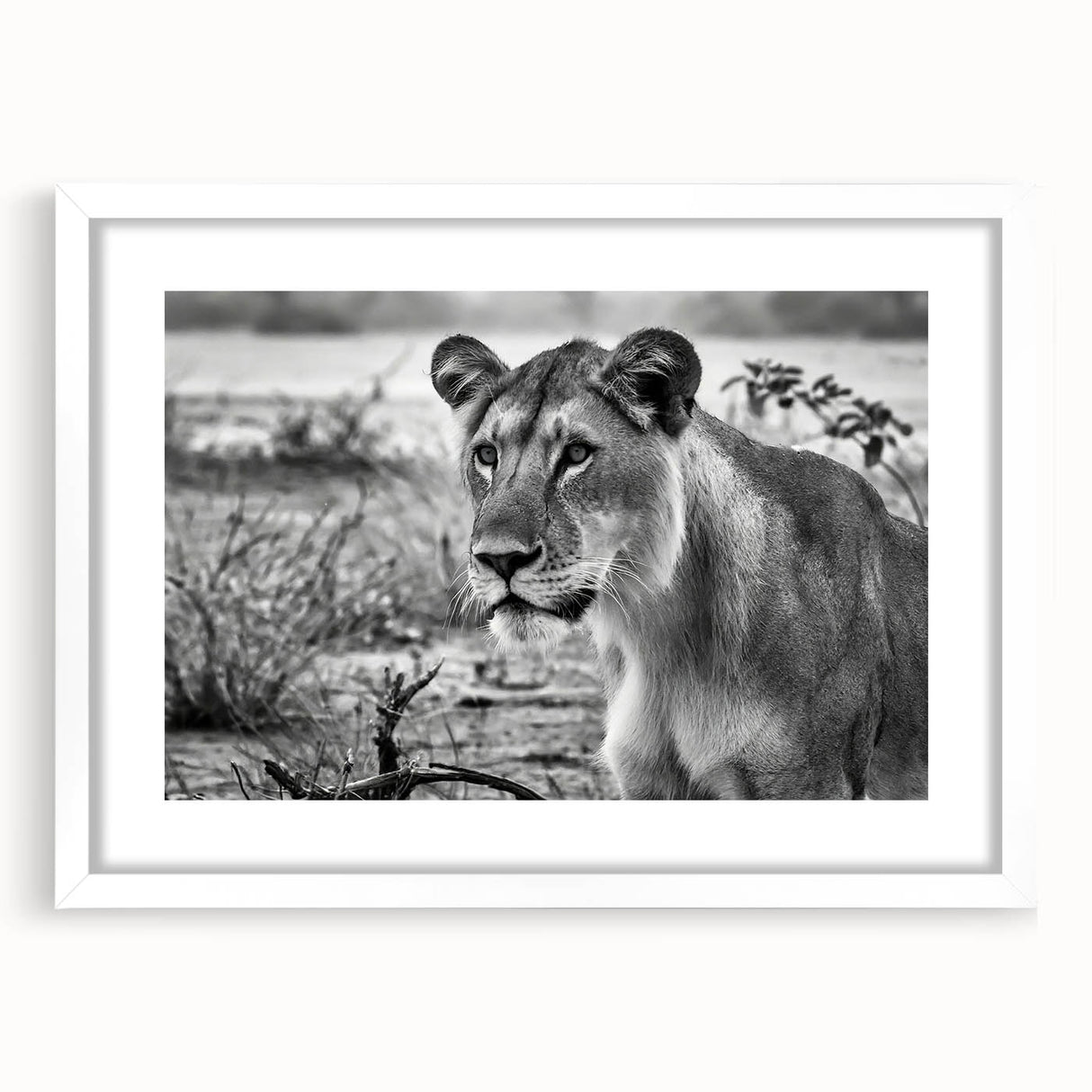 Abstract art print depicting a serene Zambia landscape in muted earth tones, framed with a white mat.