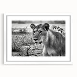 Abstract art print depicting a serene Zambia landscape in muted earth tones, framed with a white mat.