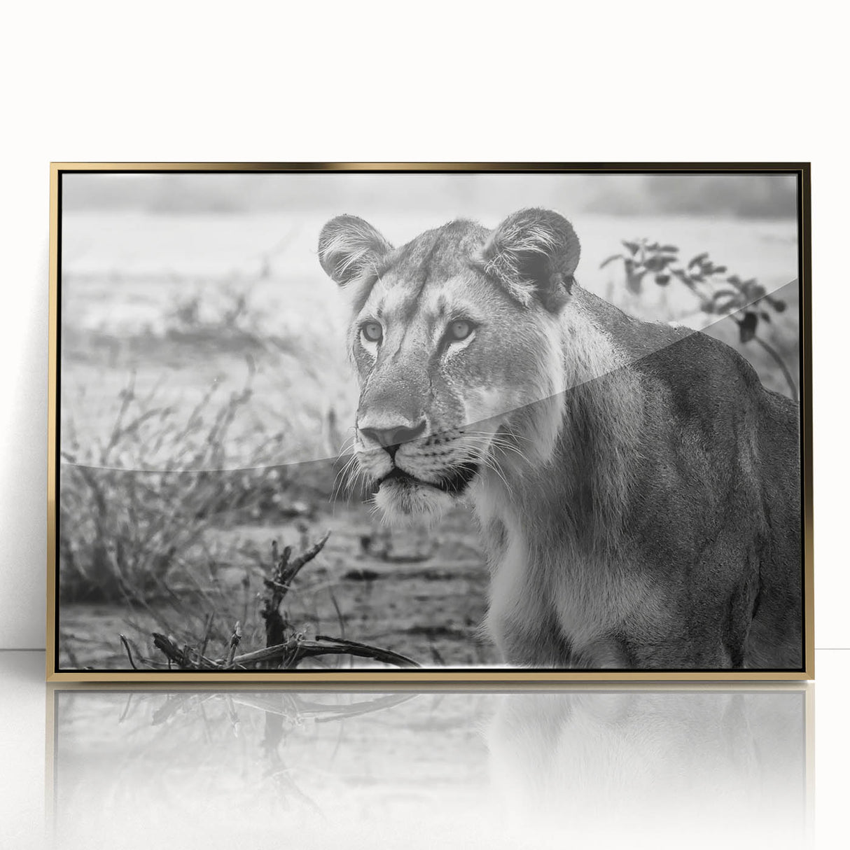 Acrylic print of a Zambian landscape, featuring muted earth tones in a mid-century modernist style.