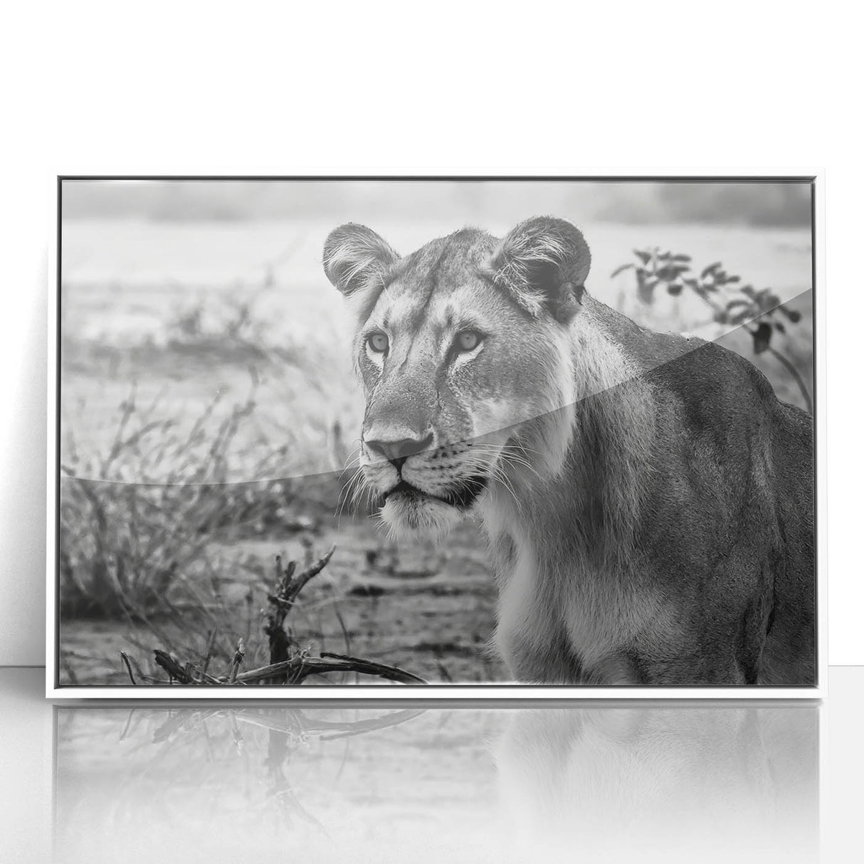 Art deco poster of an African landscape on white framed acrylic, featuring muted earth tones.