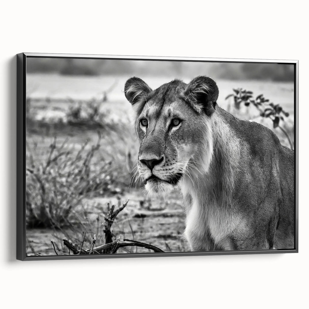Black and white framed canvas depicting a serene Zambian landscape, ideal for bedroom wall art.