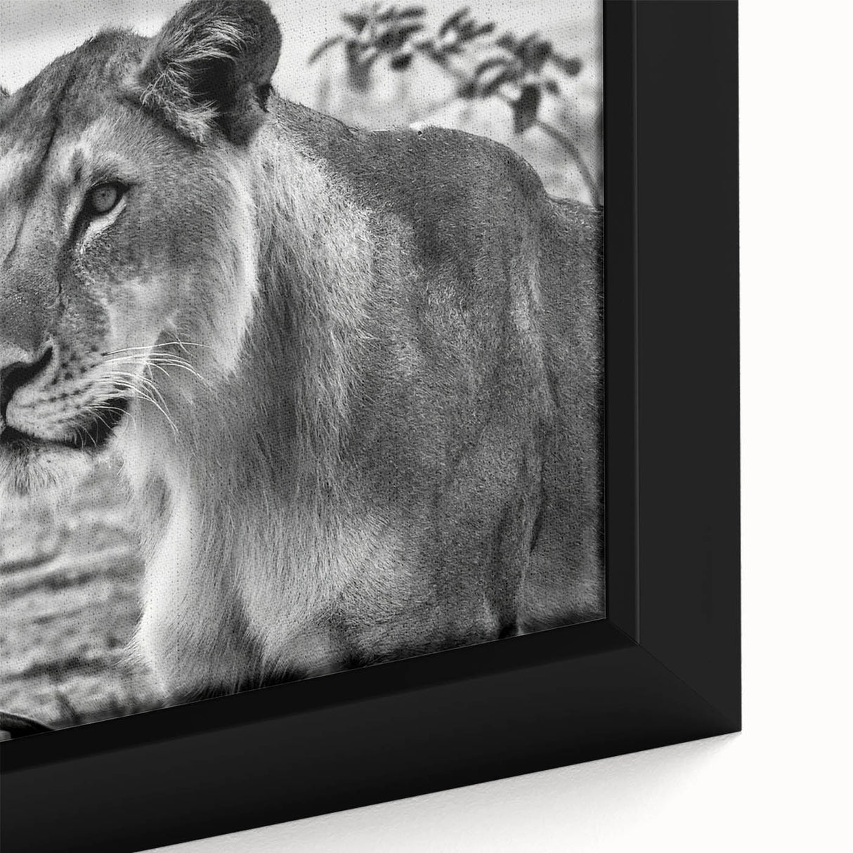 Extra large framed canvas depicting a vibrant, textured African landscape in a black wall art style.