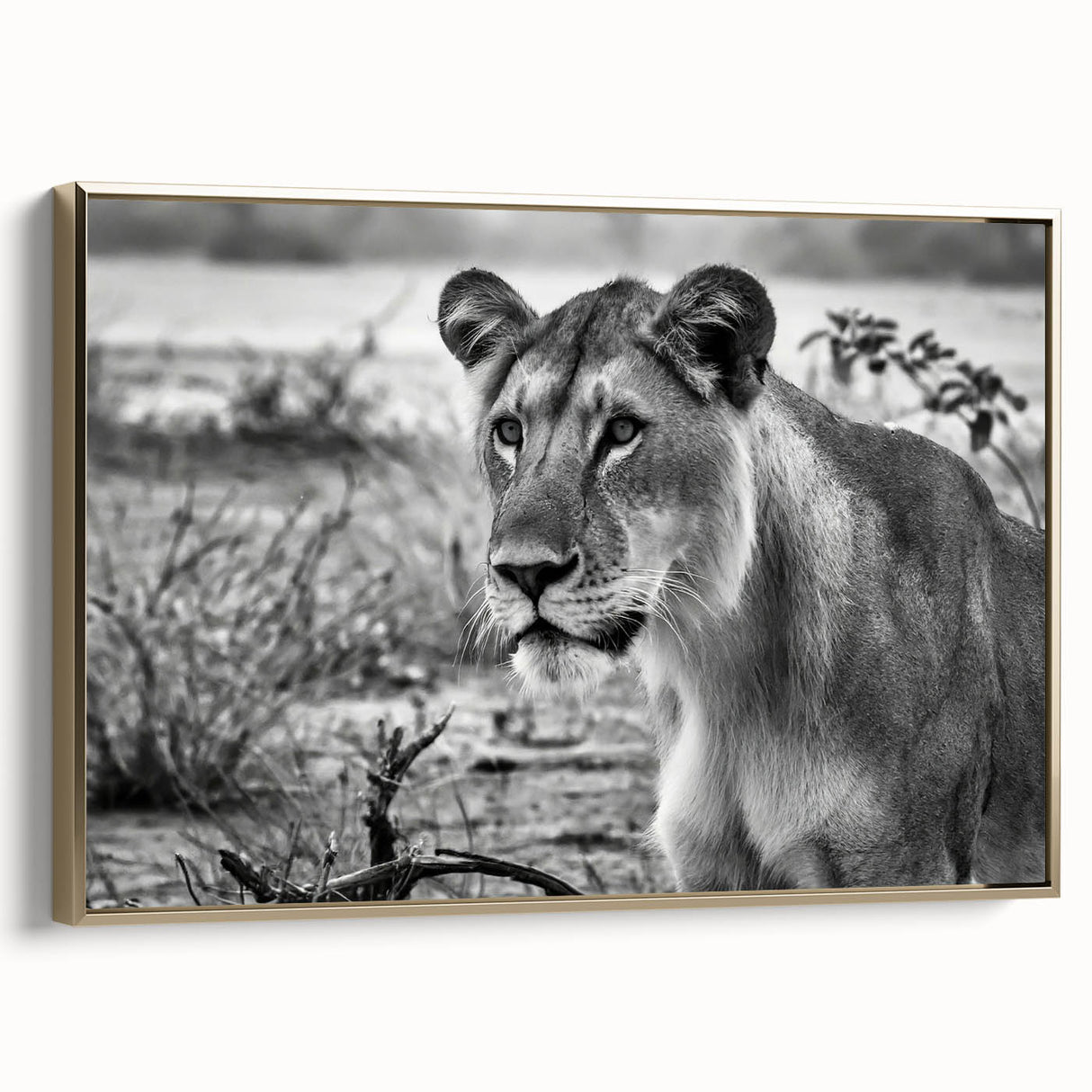 Framed canvas featuring a vintage-style landscape of a Zambian scenery in gold and black tones, ideal for bedroom wall art.