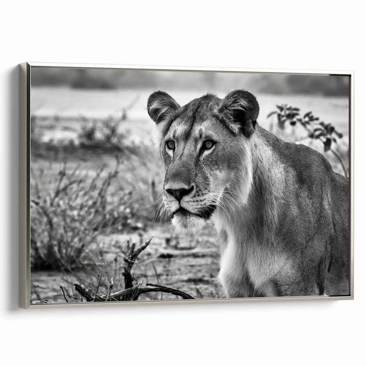 Framed canvas depicting a colorful African landscape with vibrant sunset hues, ideal for enhancing a living room's decor.