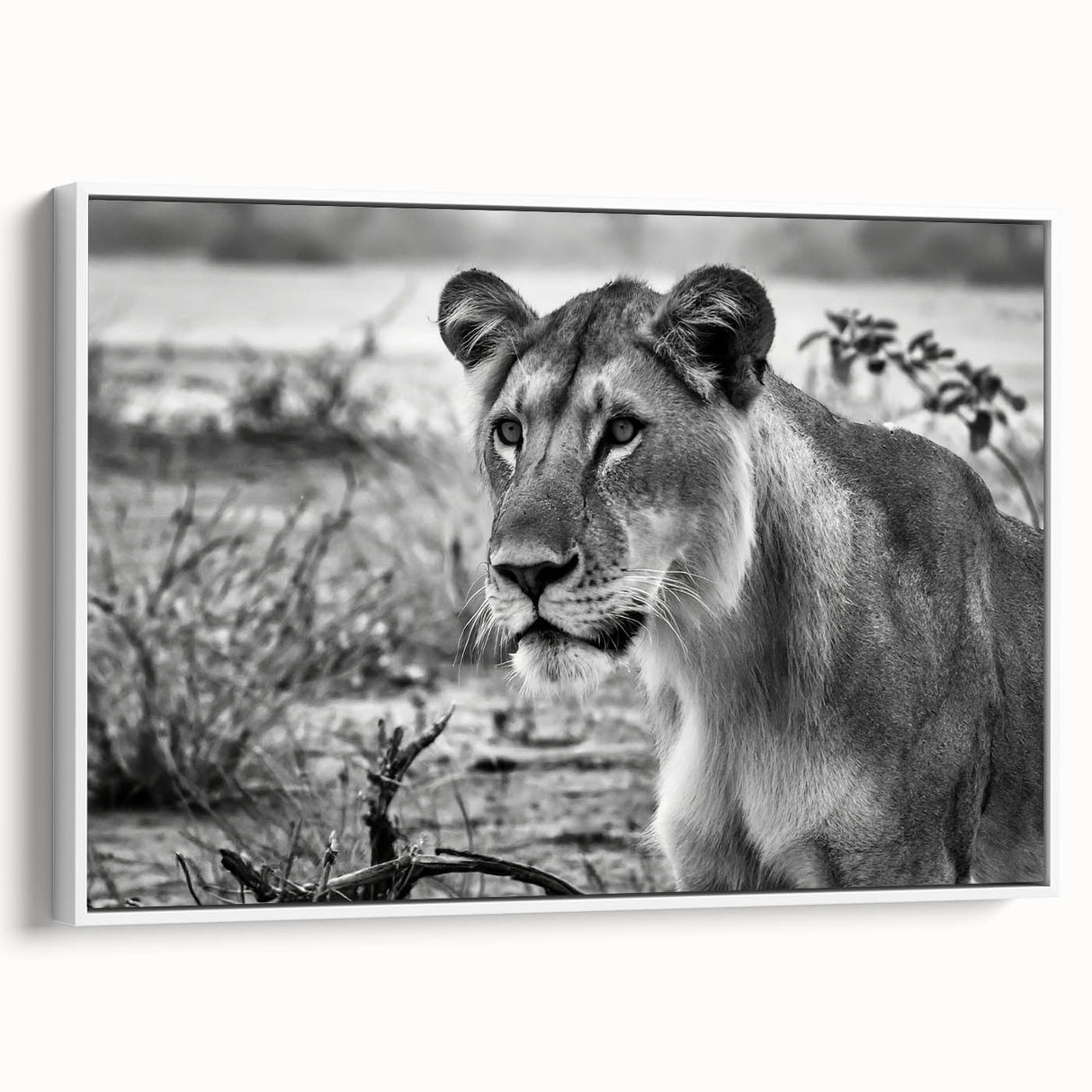 Vintage poster art of a colorful African scenery on a large framed canvas, ideal for living room decor.