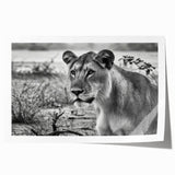 Extra large rolled print of a vibrant African landscape in muted earth tones, ideal for dining room wall art.