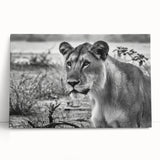 Black and white photo of an African savannah on stretched canvas, ideal for kitchen wall art or bedroom decor.